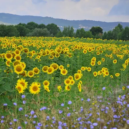 Farm stay L'impero Santa Luce